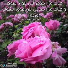 هناك من يتذمر لأن للورد شوكا وهناك من يتفاءل لأن فوق الشوك وردة جبران خليل جبران Qoutes Beauty Rose