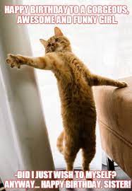 Happy Birthday To A Gorgeous Awesome And Funny Girl Did I Just Wish To Myself Anyway Hap Happy Birthday Funny Happy Birthday Sister Funny Funny Cat Memes