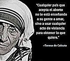 FRASES DE LOS SANTOS: “Cualquier... - Pequeñas Semillitas | Facebook
