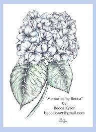 Becca Kyser Hydrangea Hydrangea Beautiful Drawings Drawings