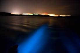 Bioluminescent Bay Puerto Rico Fajardo Mosquito Bay Puerto Rico Bioluminescent Bay Puerto Rico Bioluminescent Bay Puerto Rico Trip