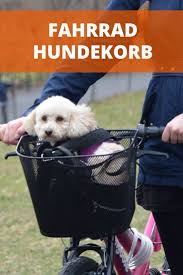 Hundekorb Fur Fahrrad Praxistest Und Empfehlungen Hundefahrradkorb Hund Fahrrad Fahrrad Hundekorb Hundekorb