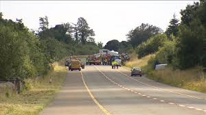 At hedge cutters and co shrubs shall be pruned to conform with the design concept of the landscaped area. Council Worker Killed In Crash While Cutting Hedge