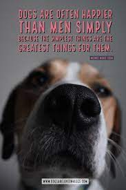 Pin On Animals I Love