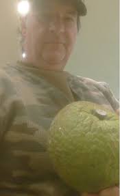 What is breadfruit and what does it taste like?