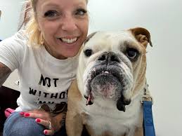 English bulldog brutus is alive and well