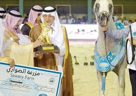 خيول الخالدية تحصد نصف الألقاب الذهبية في بطولة مكة المكرمة ٢٠١٩ Equestrian Lifestyle Beautiful Horses Arabian Horse