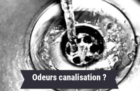 Canalisation Mauvaises Odeurs Comment Trouver L Origine