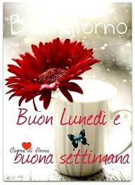 Buon lunedì divertenti, immagini di buon lunedì con frasi e non solo! Buon Lunedi E Buon Inizio Settimana Con I Fiori 3 Buongiornoate It