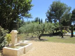Chambre D Hote De Charme Lumineuse Et Cosy Vue Sur Piscine Jardin Oliviers Fontaine Situee Pres De St Remy Jardins Fontaine De Jardin Amenagement Jardin