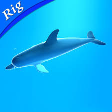 3ds Max Dolphin Animate Animation Dolphins Cinema 4d
