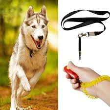 Bird Safe Cat Collar Celendi Pet Dog Training Whistle Ultrasonic Whistle Dog Cat Bird Clicker Puppy Bark Control Obedience Kits Learn More By Puppy Barking Dog Training Pet Dogs