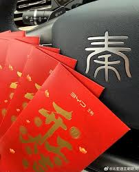 预计10万内！比亚迪秦智驾拨片曝光：搭三目摄像头视觉方案_海南网 ...