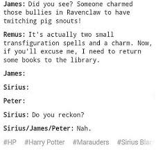 Pin By Erin Schubert On Harry Potter Harry Potter Headcannons Harry Potter Puns Harry Potter Memes