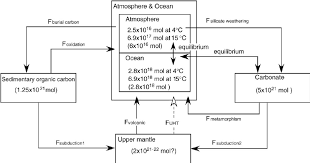 Flow Chart Showing The Carbon Cycle Model In The Present