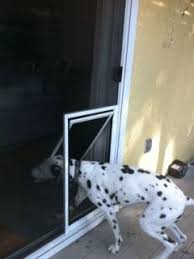 superior performance pet screen door for sliding screen doors friendly for both dogs cats to use quality co pet screen door sliding screen doors pet door