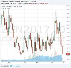 The company's line of business includes the manufacturing of prepared feeds and feed ingredients for animals and fowls. Http Www Doa Gov My Index Resources Aktiviti Sumber Sumber Awam Penerbitan Kertas Pembentangan Seminar Jagung Bijian 2017 Kertas Pembentangan13 Pdf