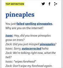 The 17 Most Gen Z Things That Have Ever Happened Urban Dictionary Funny Gen Z Haha