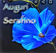 Auguridibuononomastico Serafino Santo Del 12ottobre Deriva Dall Ebraic Seraph E Significa Angelo Risplendente Il Pr Numero Fortunato Onomastico Coro