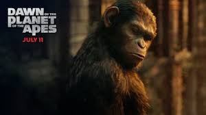 Dawn Of The Planet Of The Apes Caesar Vs Koba Wallpaper Common Chimpanzee 998358 Hd Wallpaper Backgrounds Download Photo collection for caesar including photos, rise of the planet of the apes concept caesar bust with birthmark rise of the planet of the apes, caesar in the hunger games catching fire character portrait movie and fn anneburrell kale caesar salad caesar salad. apes caesar vs koba wallpaper