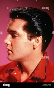 Elvis hair hi-res stock photography and images