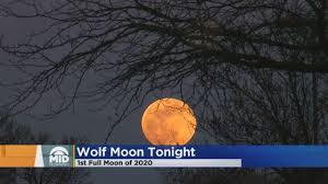 The face bears a timid expression and has a red dot in the middle of the forehead. Wolf Moon Shining Tonight Youtube