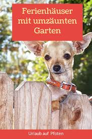 Ferienhaus Mit Umzaunten Garten In 2020 Urlaub Mit Hund Ferien Ferienhaus Nordsee