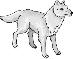 Grey wolf canvas print, wolf wall art, canvas print. Animated Wolves Cliparts Arctic Wolf Clipart Png Download Full Size Clipart 313042 Pinclipart