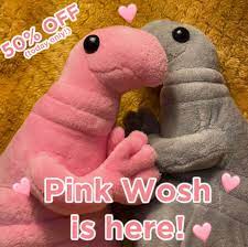 Woshette Is Here Plush Uplifting Quotes Positive 2nd Baby