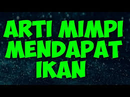 Untuk anda yang pernah mengalami mimpi melihat ikan cupang banyak di keranjang, berbahagialah. Arti Mimpi Mendapat Ikan Kecil Dan Banyak Youtube