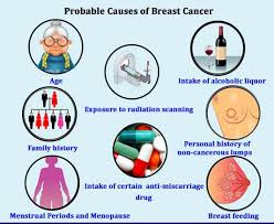 Read on to learn what causes these conditions and how to treat them. Can Breast Cancer Cause Menopause