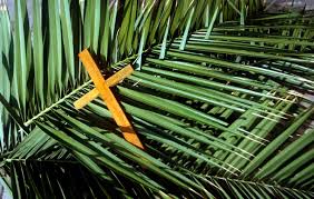 But what, exactly, is palm sunday? Reflecting On Palm Sunday 2019
