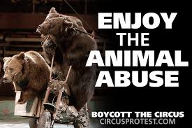 Boycott Circus Protest Posters Save Animals Animal Abuse