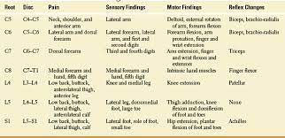 Spinal Nerve And Root Neupsy Key