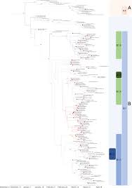 Each sample is coloured with corresponding subclade. Genomic Epidemiology Of Sars Cov 2 Reveals Multiple Lineages And Early Spread Of Sars Cov 2 Infections In Lombardy Italy Nature Communications