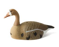 White Front Goose - Standard - G&H Decoys