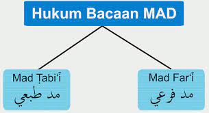 PEMBAGIAN HUKUM BACAAN MAD DAN CONTOHNYA