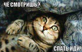 Это - Спокойной ночи!😴 #экрд #кривойрог | Facebook