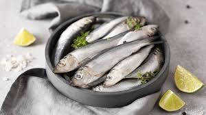 Image result for sprat