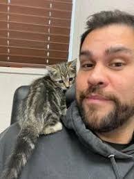 Kittens rescued from north-end fire, El Centro Denny's days apart