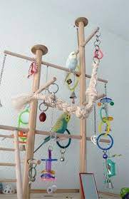 A playground for your chickens may seem a little, well, extra, but at the end of the day, it's about creating an enriching environment where your flock will thrive and be happy. Budgie Playground Parakeet Toys Homemade Bird Toys Diy Bird Toys