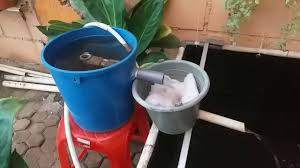 Mini Vortex Filter Untuk Kolam Koi Dari Terpal Youtube