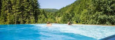 4 Hotel Mit Sauna Im Schwarzwald Wellnesshotel Auerhahn