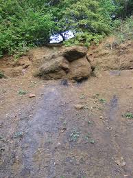 Der geologische garten wird als eines der bedeutendsten geotope in der region bezeichnet und gilt als vorbild für den erhalt und die wiederherstellung des geologischen erbes. Geologischer Garten Bochum