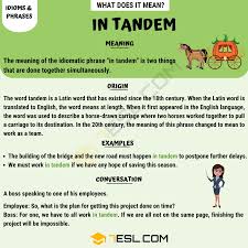 In Tandem What Is The Definition Of In Tandem With Useful Examples 7 E S L English Phrases English Idioms English Words