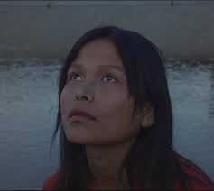 Pascal Hein — WÜL Collective