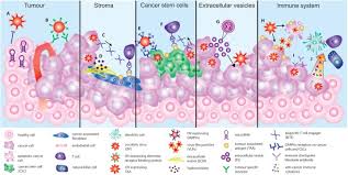 Streamer life simulator is a detailed life simulator that allows you to live a clam life and enjoys each and every aspect of it. Redirecting Oncolytic Viruses Engineering Opportunists To Take Control Of The Tumour Microenvironment Sciencedirect