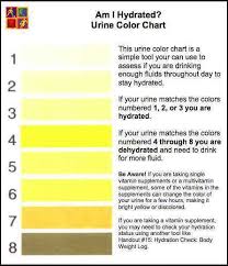 Am I Hydrated Pee Color Urinal Raw For Beauty