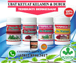 Setawar barah (gynura divaricata) mengubati kanser ? Inilah Ubat Yang Paling Berkesan Untuk Ketuat Alat Kelamin Di Farmasi Malaysia Ubat Ketuatkelamin