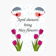 Poetry forum new/upcoming features the wall soup facebook page who is online link to us. April Showers Bring May Flowers Catchy Saying Design Poster By Kstar14 Redbubble